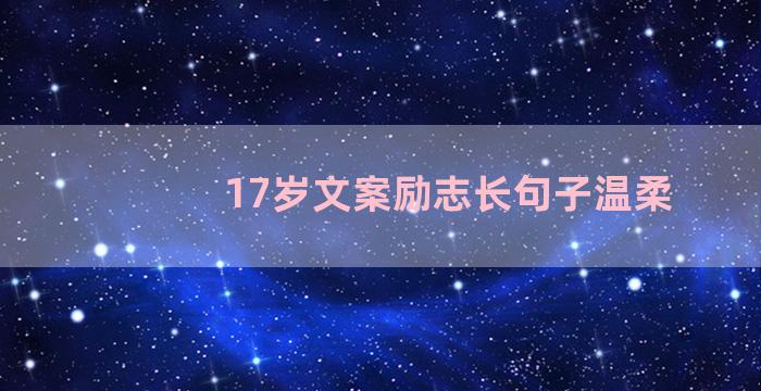 17岁文案励志长句子温柔