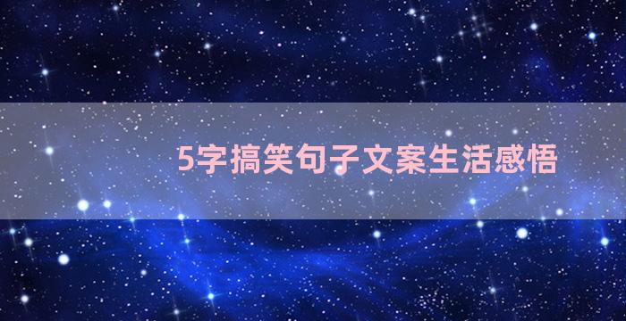 5字搞笑句子文案生活感悟