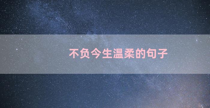不负今生温柔的句子