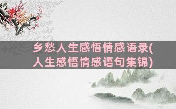 乡愁人生感悟情感语录(人生感悟情感语句集锦)