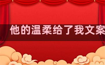 他的温柔给了我文案句子