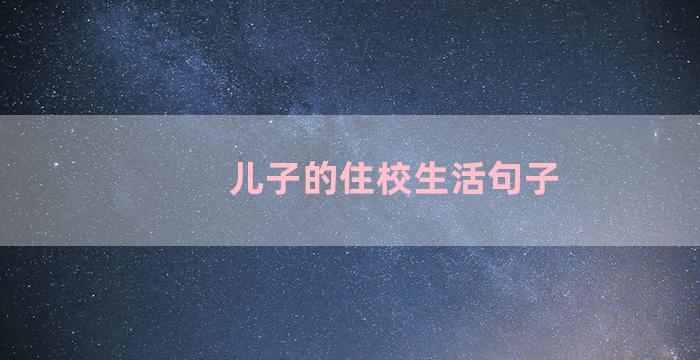 儿子的住校生活句子