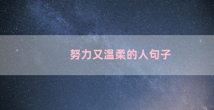 努力又温柔的人句子