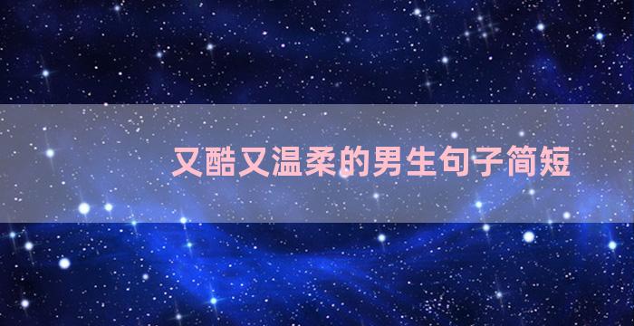 又酷又温柔的男生句子简短