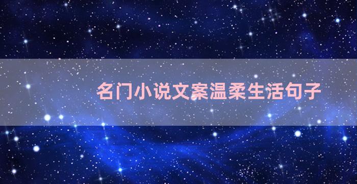 名门小说文案温柔生活句子