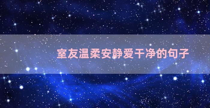 室友温柔安静爱干净的句子