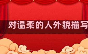 对温柔的人外貌描写句子