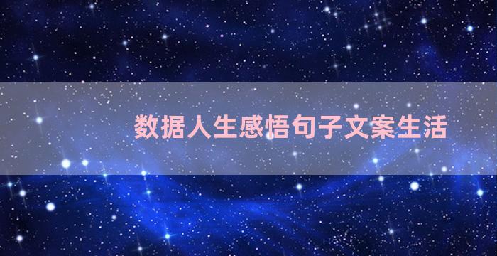 数据人生感悟句子文案生活