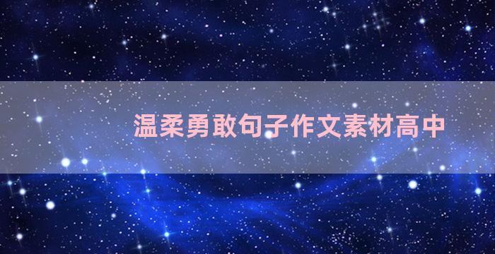 温柔勇敢句子作文素材高中