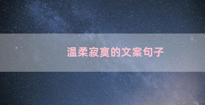 温柔寂寞的文案句子