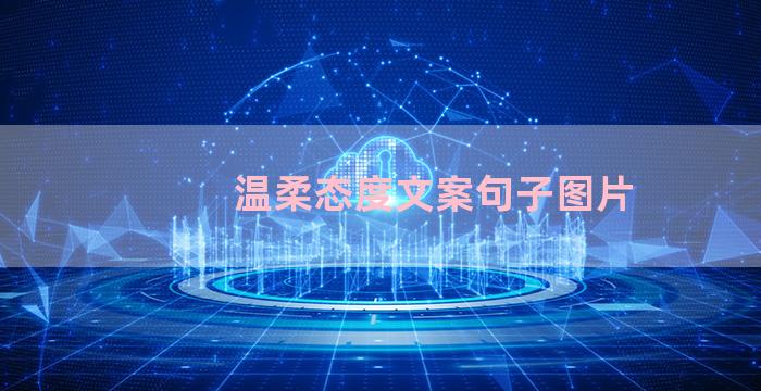 温柔态度文案句子图片