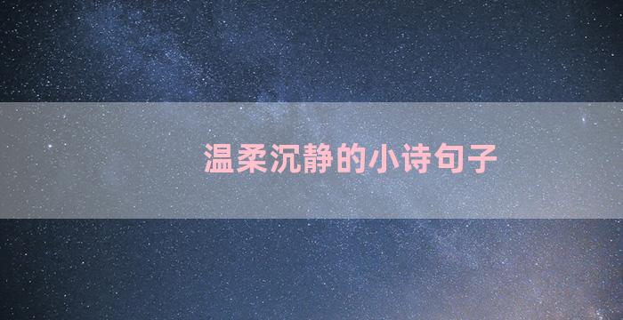 温柔沉静的小诗句子