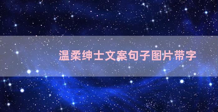 温柔绅士文案句子图片带字