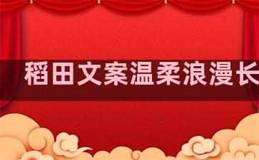 稻田文案温柔浪漫长句子