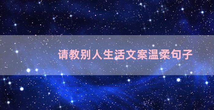 请教别人生活文案温柔句子