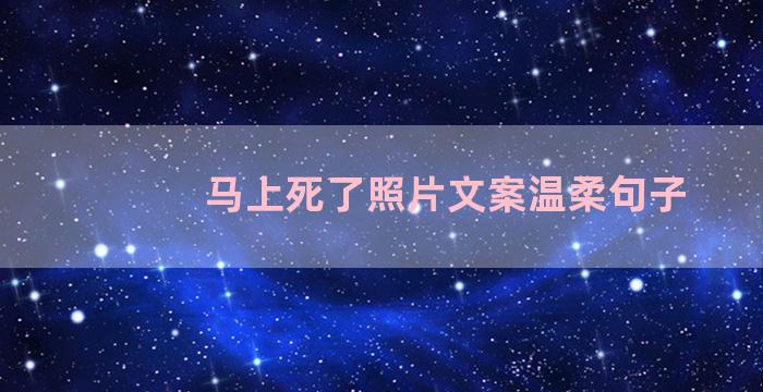 马上死了照片文案温柔句子