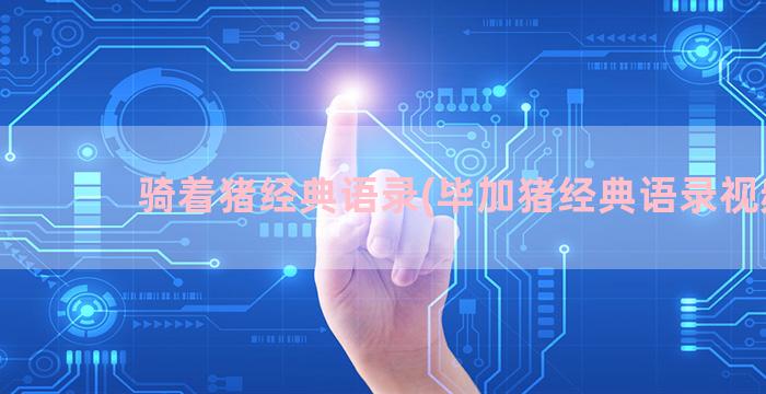 骑着猪经典语录(毕加猪经典语录视频)